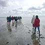 Das Wattenmeer ist UNESCO Weltnaturerbe